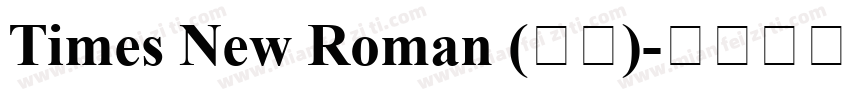 Times New Roman (正文)字体转换